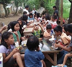 Community feeding